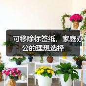 可移除标签纸，家庭办公的理想选择（图3）
