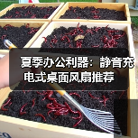 夏季办公利器:静音充电式桌面风扇推荐(图2) 夏季办公利器:静音充电式桌面风扇推荐(图2)