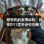 标签机的家用体验:精臣D11蓝牙迷你热敏不干胶(图2) 标签机的家用体验:精臣D11蓝牙迷你热敏不干胶(图2)