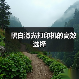黑白激光打印机的高效选择（图2）