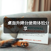 桌面升降台使用体验分享(图2) 桌面升降台使用体验分享(图2)