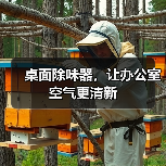 桌面除味器,让办公室空气更清新(图3) 桌面除味器,让办公室空气更清新(图3)