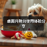 桌面升降台使用体验分享(图4) 桌面升降台使用体验分享(图4)