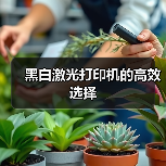 黑白激光打印机的高效选择(图4) 黑白激光打印机的高效选择(图4)