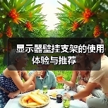 显示器壁挂支架的使用体验与推荐