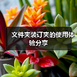 文件夹装订夹的使用体验分享(图2) 文件夹装订夹的使用体验分享(图2)