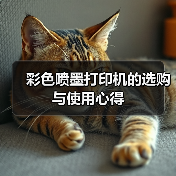 彩色喷墨打印机的选购与使用心得（图3）
