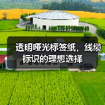 透明哑光标签纸,线缆标识的理想选择(图4) 透明哑光标签纸,线缆标识的理想选择(图4)