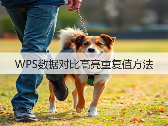 WPS数据对比高亮重复值方法(图1)