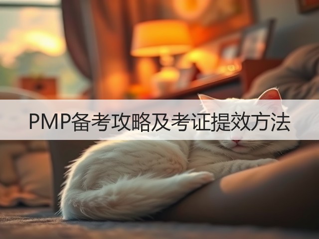 PMP备考攻略及考证提效方法(图3)
