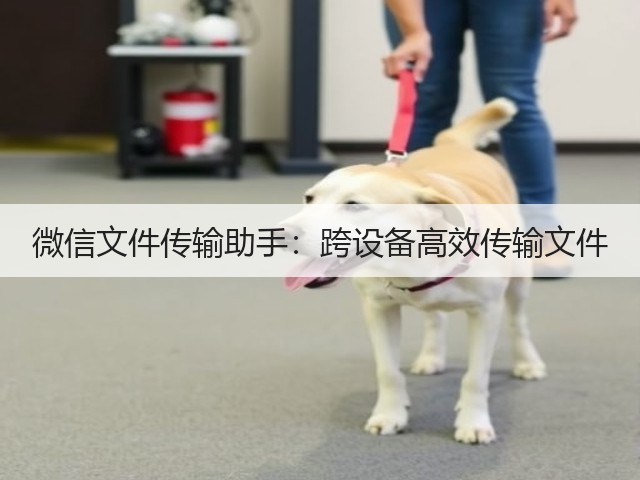 微信文件传输助手:跨设备高效传输文件(图2) 微信文件传输助手:跨设备高效传输文件(图2)