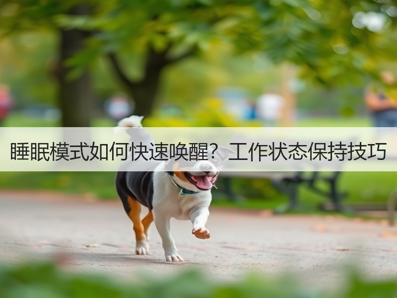 睡眠模式如何快速唤醒？工作状态保持技巧