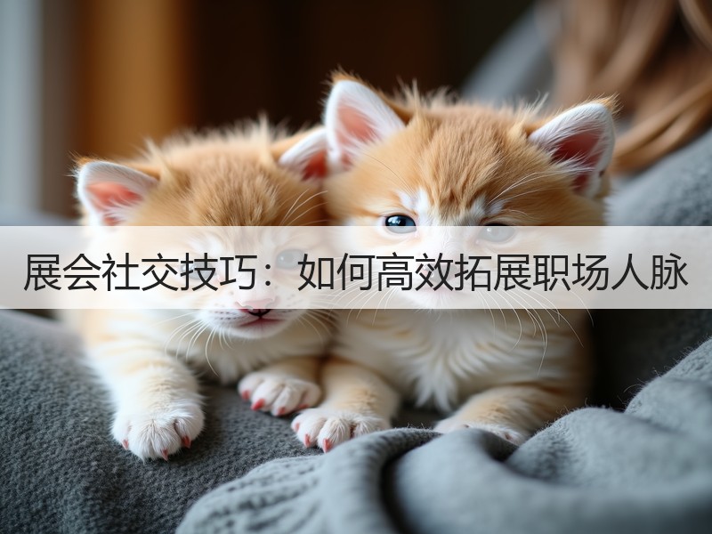 展会社交技巧：如何高效拓展职场人脉