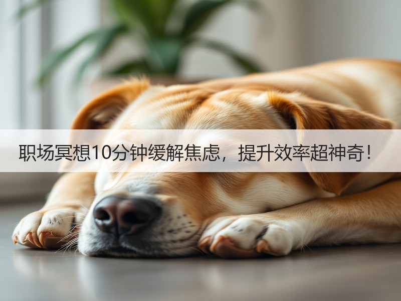 职场冥想10分钟缓解焦虑，提升效率超神奇