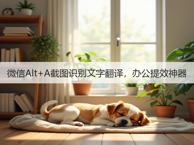 微信Alt+A截图识别文字翻译，办公提效神器(图2)