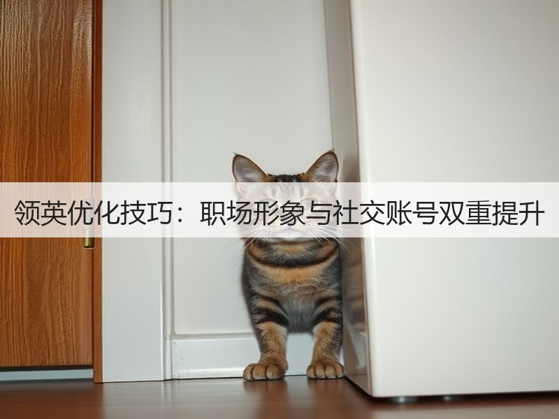 领英优化技巧:职场形象与社交账号双重提升(图2) 领英优化技巧:职场形象与社交账号双重提升(图2)