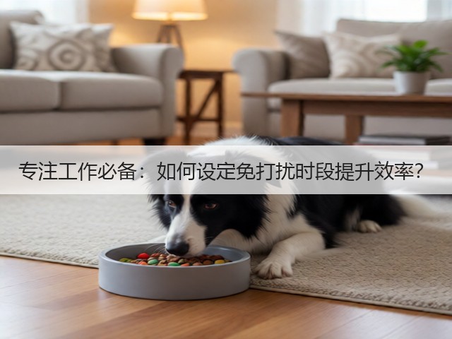 专注工作必备：如何设定免打扰时段提升效率？(图2)
