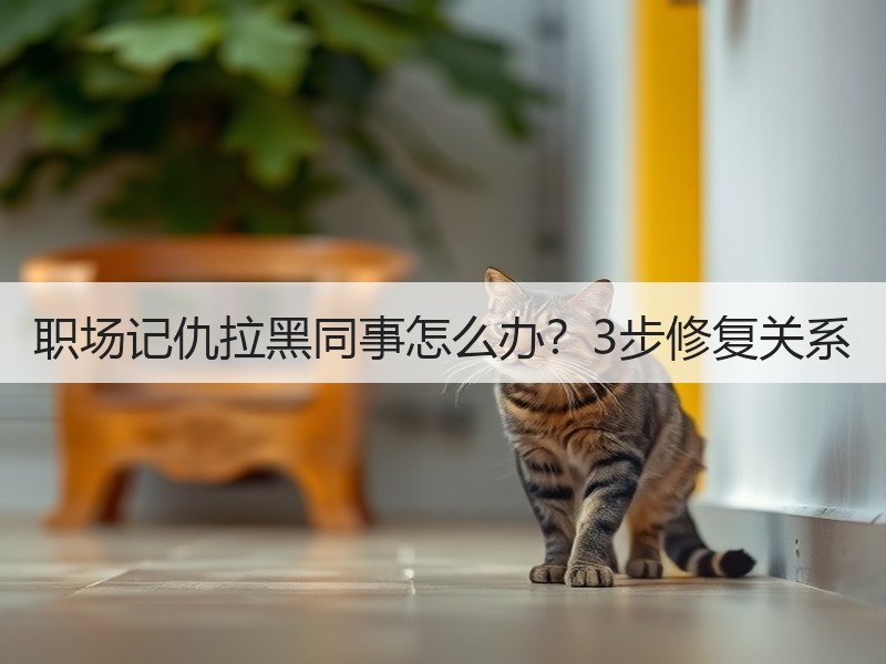 职场记仇拉黑同事怎么办？3步修复关系