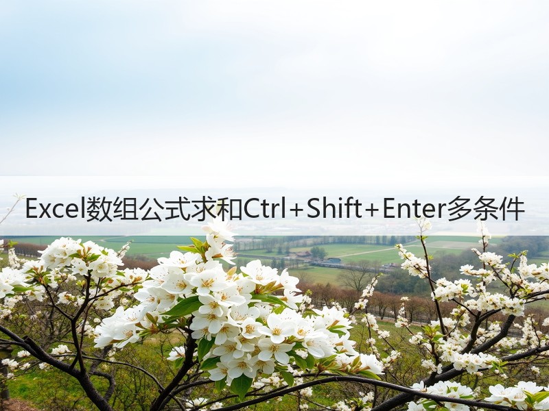 Excel数组公式求和Ctrl+Shif