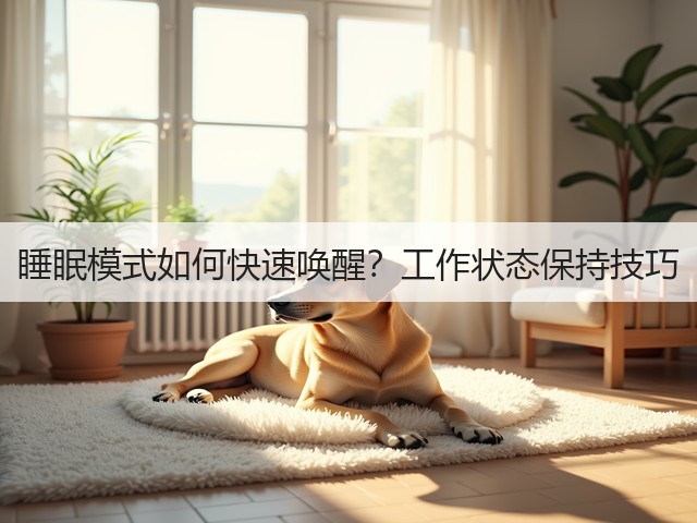 睡眠模式如何快速唤醒？工作状态保持技巧(图1)